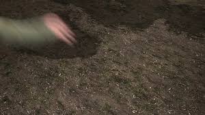 Furios și iute cursa spionilor sezonul 3 episodul 1. Dragonii Aparatorii Insulei Sezonul 2 Episodul 15 Musteata Desene Animate Dublate In Romana