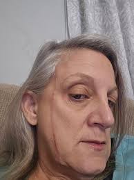 Chi and Great Dane meeting fails