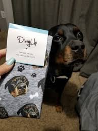 About 1% of these are men's socks, 1% are socks. Put Your Pet On Socks Custom Socks Custom Dog Custom Socks Dog Socks