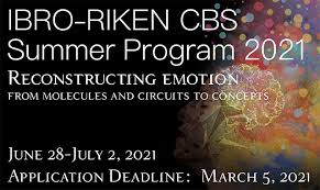 Find cbs primetime, daytime, late night, and classic tv episodes, videos, and information. Ibro Riken Cbs Summer Program 2021 Riken Center For Brain Science Riken Cbs
