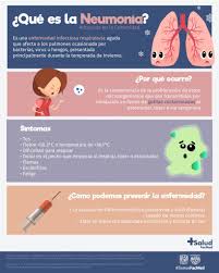 No toda las personas que tienen mascotas conocen este termino, por esa razón me dí a la tarea de hacer este vídeo dando una breve explicación del. Que Es La Neumonia Adquirida En La Comunidad Salud Facmed