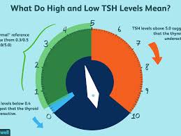 High And Low Tsh Levels Meanings And Variations