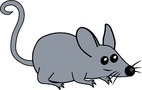 We did not find results for: Mouse Animal Cartoon Drawing Free Vector Graphic On Pixabay