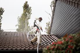 Aucun vent et pas de pluie pendant 72h, aujourd'hui fin avril (voir photo) aucun effet sur le lichen la mousse a légèrement grisée mais ne. Traitement De Toiture Avec Hydrofuge Reflechissant Devis Gratuit