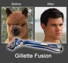 Resultado de imagem para Funny Pictures