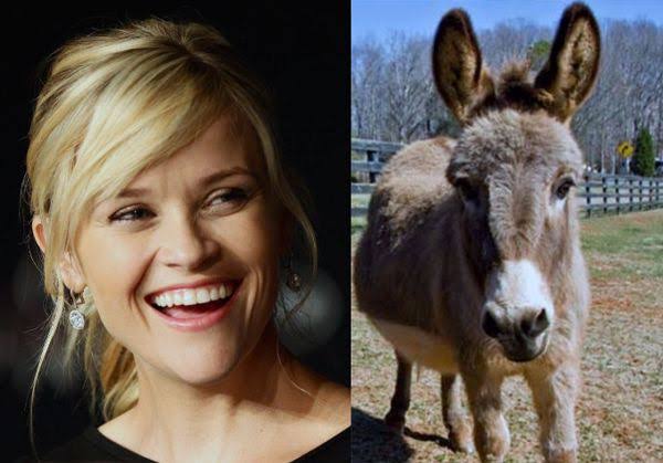 Mga resulta ng larawan para sa Reese Witherspoon donkey"