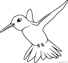 Supercoloring.com is a super fun for all ages: Hummingbird Coloring Pages Coloringall