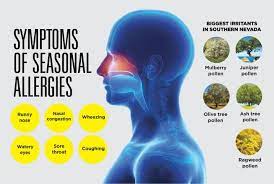 How To Combat Seasonal Allergies In Southern Nevada Sunrise Hospital