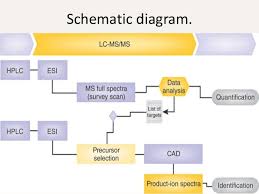 Liquid Chromatography And Mass Spectrometry Lcms