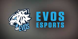 Founded in august 2016, evos aims to bring evolution to indonesia esports industry. Evos Esports Raises 12m Series B Financing The Esports Observer
