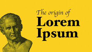 What is Lorem Ipsum?,Meredith Vertreese