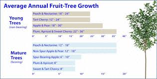 Fertilizing Organic Fruit Trees Stark Bros Garden