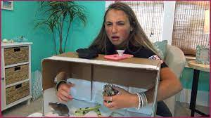 What S In The Box Challenge Or Prank Scary Feeling Things Box Challenge Whats In The Box Challenges