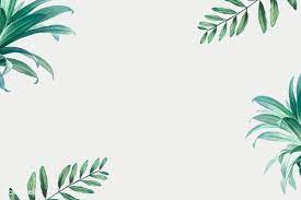Abstract lines design for powerpoint template, white background. Download Premium Illustration Of Hand Drawn Tropical Leaves On A White Palm Tree Background Tropical Leaves Tropical Illustration