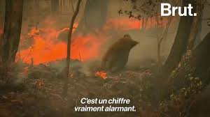 Check spelling or type a new query. Video Australie 1 An Apres Les Terribles Incendies Le Pays Continue De Panser Ses Plaies
