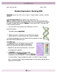 Building dna gizmo warm up answer key. Student Exploration Building Dna Pdfcoffee Com