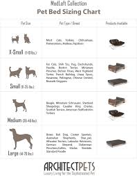 uncommon retriever growth chart pet bed size guide siberian