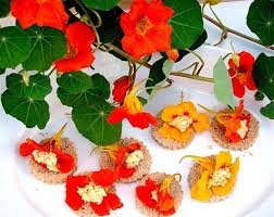 Nasturtiums Flower Food Edible Flowers Nasturtium