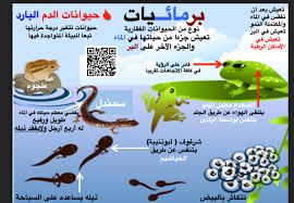 انفوجرافيك وملخصات وخرائط ذهبية للصف الخامس علوم 2016 2017 مدرستي الكويتية