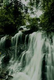River arkavathi, 90 km (56 mi) from bangalore: Sirimane Waterfalls Western Ghats Chikmagalur Sringeri Water Falls