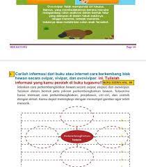 Jelaskan cara perkembangbiakan hewan secara ovipar, vivipar, dan ovovivipar. Carilah Informasi Dari Buku Atau Internet Cara Berkembang Biak Hewan Secara Ovipar Vivipar Dan Brainly Co Id