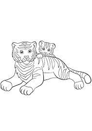 Baby tiger coloring pages are a fun way for kids of all ages to develop creativity, focus, motor skills and color recognition. Coloring Pages Baby Tiger With Mom Coloring Page