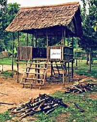 We did not find results for: Cucutokayah Ar Twitter Iklan Atap Nipah Contact Ahfi 011 1004 6379 Atapnipah Ataprumbia Ataptradisional Decoration Melaka Johor Negeri9 Pondok Gazebo Rumah Unik Rare Malaysia Stall Reban Homedecor Theonlyones Southernmalaysia