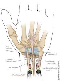 Carpal Tunnel Syndrome American Family Physician Carpal Tunnel Syndrome Carpal Tunnel Medical Knowledge