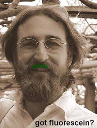 Everyday Scientist » history