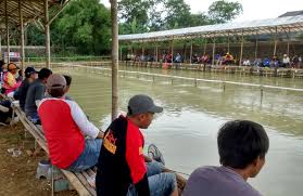 Lio Graha Ada Kolam Besar Kecil Untuk Lomba Pelampungan Mas Kabar Mancing