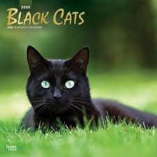 Pin On 2021 Cats Calendars