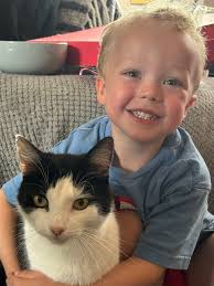 Lost and Found pets Buckley/Mold/Deeside areas