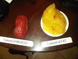 How much volume does a pound of fat have? Pin On Healthy Is The New Happy
