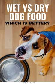 Pin On Dishes Bowls Pet Food
