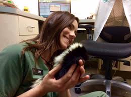 Why special species of exotic pets require specialized veterinary care. Exotic Pet Veterinary Care Westminster Veterinary Group