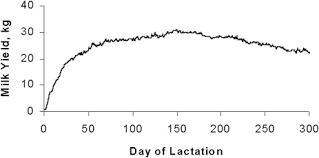 lactation curve an overview sciencedirect topics