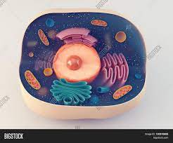 How i designed this completely designed in microsoft's 3d builder cell model designed based on. 3d Illustration Image Photo Free Trial Bigstock