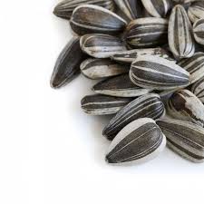 Membantu menghaluskan dan melembabkan kulit wajah. Biji Selasih Untuk Ibu Hamil Englshfluw