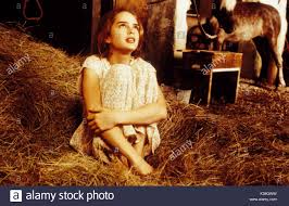 Photo of pretty baby for fans of brooke shields 843036 Pretty Baby Brooke Shields Datum 1978 Stockfotografie Alamy