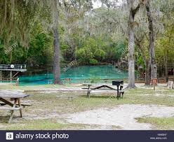 The watershed of the river is approximately 1,380 square miles (3,574 km2) and spreads across southern columbia, southern suwannee, western bradford, far southern baker, union, northern and eastern gilchrist. Gilchrist Blue Springs State Park Entlang Des Santa Fe River Gilchrist County Florida Usa Stockfotografie Alamy