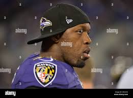 Suggs 2013 hi-res stock photography and images