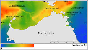 Search the marinetraffic ships database of more than 550000 active and decommissioned vessels. A Spatially Explicit Risk Assessment Approach Cetaceans And Marine Traffic In The Pelagos Sanctuary Mediterranean Sea