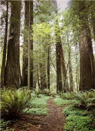 hematology #oncology #physicianjobs #medicaldirectorjobs #eureka…