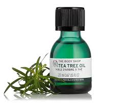 The body shop tea tree oil. The Body Shop Tea Tree Oil Ingredients Explained