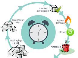 Coaching Woche 3 Intervallfasten Care For Cancer Krebsvorsorge Leicht Gemacht