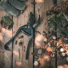 Neben Den Fruchten Ernten Wir Auch Jede Menge Blumensamen Wir Schneiden Auch Im Herbst Nicht Alle Pflanzen Runter Sondern Lasse Door Handles Decor Home Decor