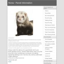 Ferretinfo Co Uk At Wi Home Ferret Information