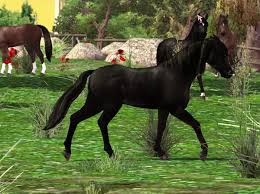 We did not find results for: Horse Games Free Download Pc