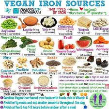 Pin On Vegan