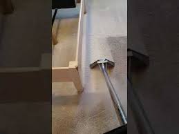 Carpet Cleaning Greenville Nc True Clean 252 367 0133
